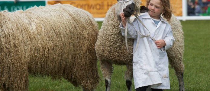 Royal Cornwall Show