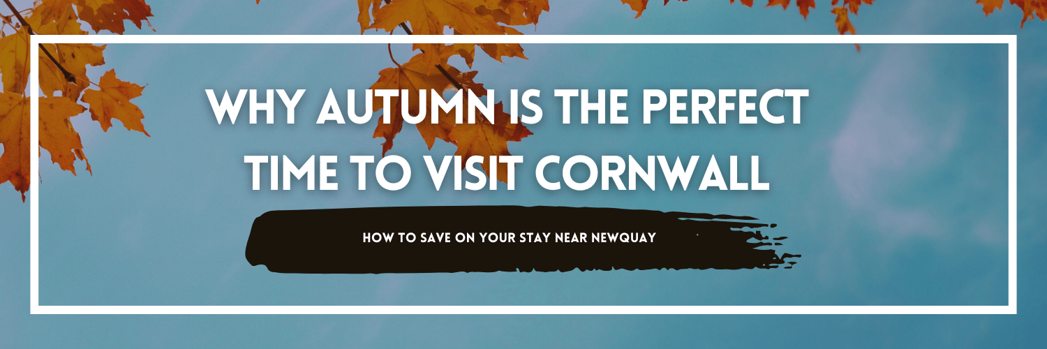 Why Porth Beach is Perfect for a Spring Escape